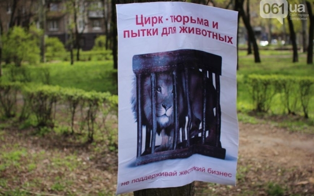 Сегодня в Запорожье прошел необычный митинг Фото № 2 Сегодня в Запорожье прошел необычный митинг Фото № 2