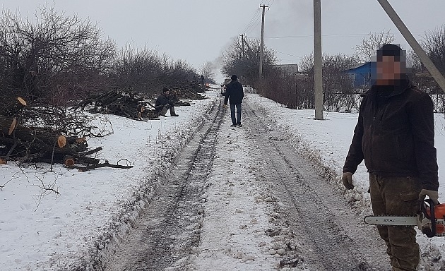 Обман: В сети собирают деньги на помощь женщине, которую растерзал волк Фото № 0 Обман: В сети собирают деньги на помощь женщине, которую растерзал волк Фото № 0