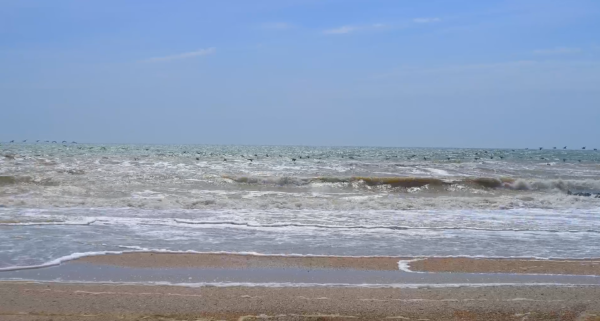 Азовское море штормило (ФОТО) Фото № 0 Азовское море штормило (ФОТО) Фото № 0