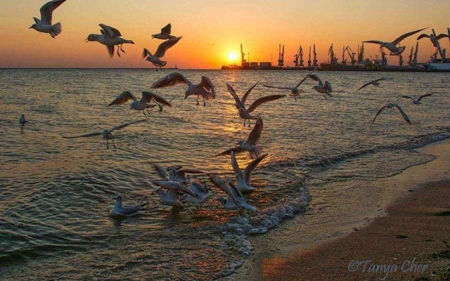 Фотохудожница показала атмосферный Бердянск (ФОТО) Фото № 6 Фотохудожница показала атмосферный Бердянск (ФОТО) Фото № 6