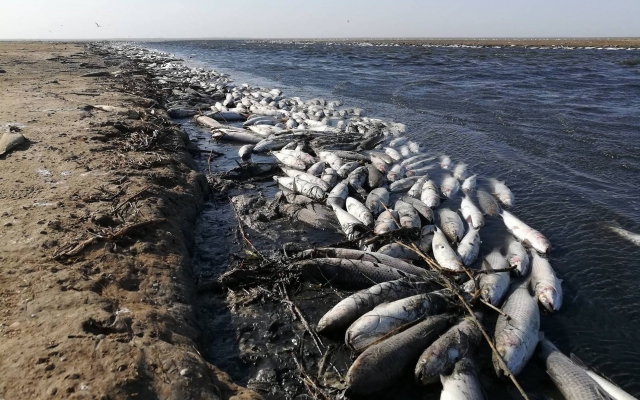 Запорожская область превращается в нищее захолустье (ФОТО, ВИДЕО) Фото № 4 Запорожская область превращается в нищее захолустье (ФОТО, ВИДЕО) Фото № 4