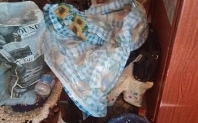 В Запорожской области пьяная многодетная мать В Запорожской области пьяная многодетная мать