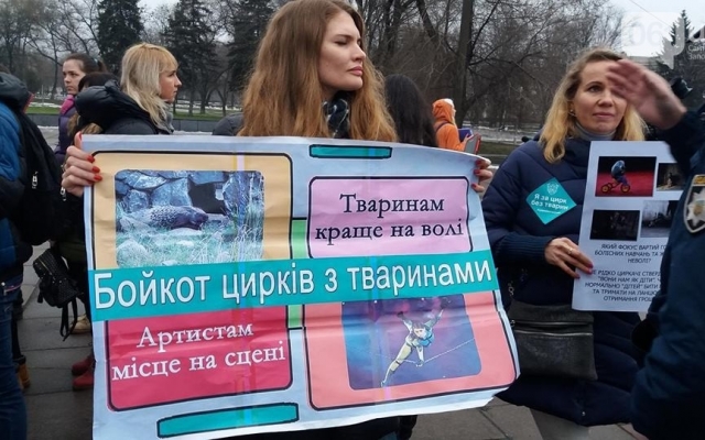 Сегодня несколько десятков запорожцев вышли на митинг (ФОТО) Фото № 2 Сегодня несколько десятков запорожцев вышли на митинг (ФОТО) Фото № 2
