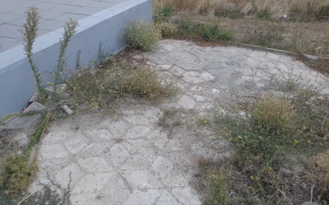 Ставленница Балицкого глумится над святыней (ФОТО) Фото № 1 Ставленница Балицкого глумится над святыней (ФОТО) Фото № 1
