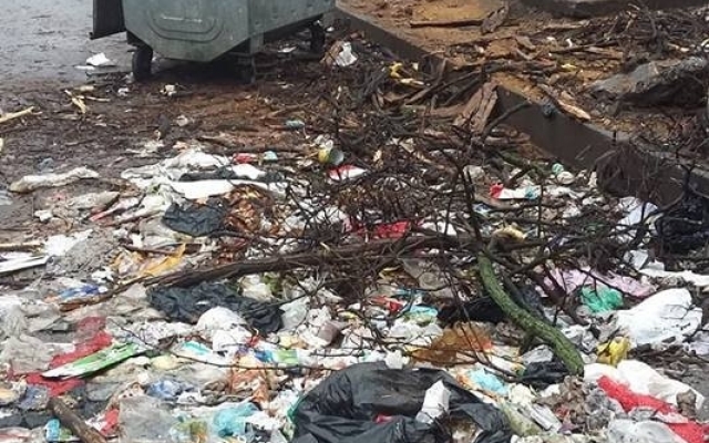 В центре Запорожья двор утопает в мусоре (ФОТО) Фото № 2 В центре Запорожья двор утопает в мусоре (ФОТО) Фото № 2