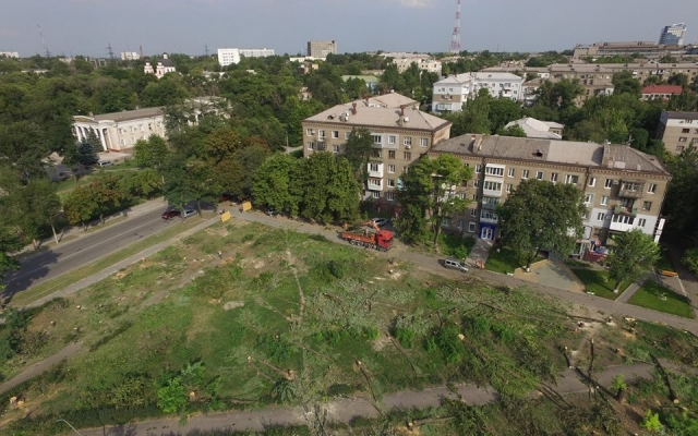 Вырубленный парк показали с высоты птичьего полета (ФОТО) Фото № 2 Вырубленный парк показали с высоты птичьего полета (ФОТО) Фото № 2
