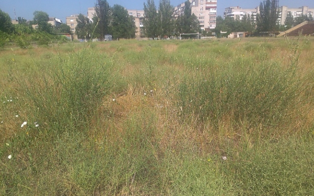 В Бердянске появился новый В Бердянске появился новый