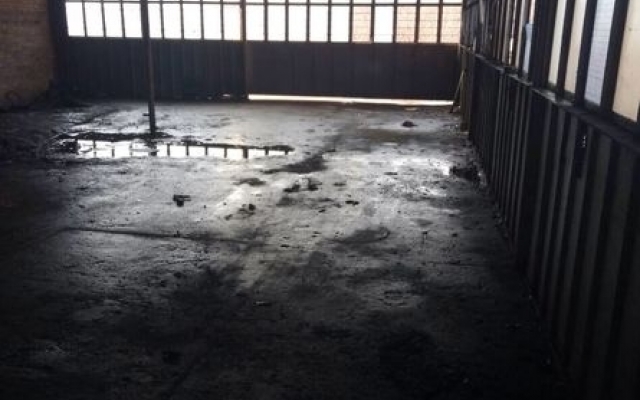 В Запорожье ликвидировали свалку с человеческими останками (ФОТО) Фото № 2 В Запорожье ликвидировали свалку с человеческими останками (ФОТО) Фото № 2
