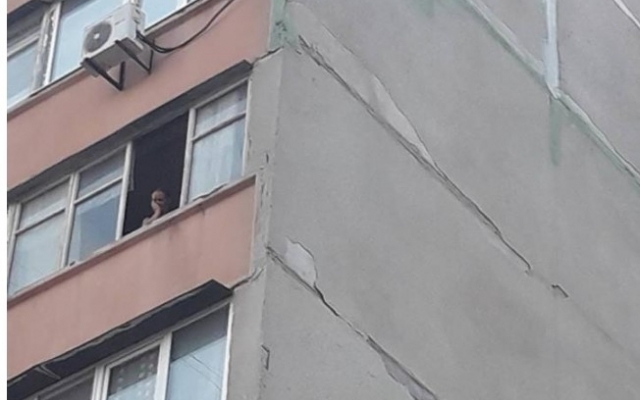 По факту жестокого убийства собаки, которую выбросили из окна, возбудили уголовное производство (ФОТО) Фото № 0 По факту жестокого убийства собаки, которую выбросили из окна, возбудили уголовное производство (ФОТО) Фото № 0