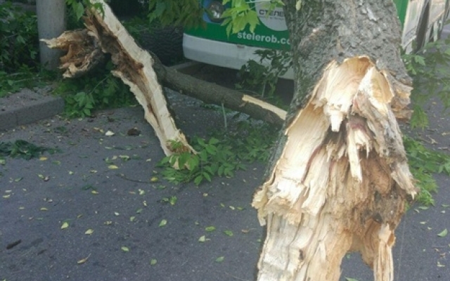 В полиции рассказали подробности ДТП на бульваре Шевченко (ФОТО) Фото № 4 В полиции рассказали подробности ДТП на бульваре Шевченко (ФОТО) Фото № 4