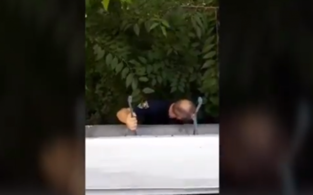 В Запорожье двое суток кричала бабушка, умоляя о помощи (ВИДЕО) Фото № 0 В Запорожье двое суток кричала бабушка, умоляя о помощи (ВИДЕО) Фото № 0
