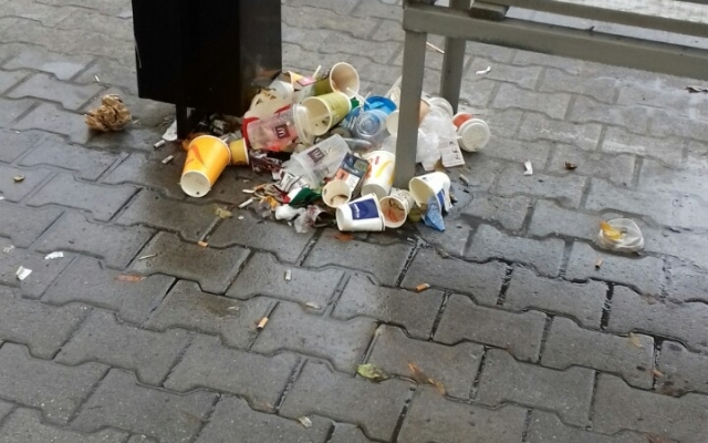После Дня города Запорожье превратилось в хлев (ФОТО) Фото № 1 После Дня города Запорожье превратилось в хлев (ФОТО) Фото № 1