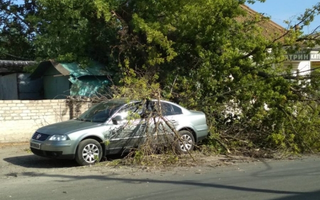 На автомобиль рухнуло огромное дерево (ФОТО) Фото № 0 На автомобиль рухнуло огромное дерево (ФОТО) Фото № 0