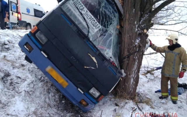 Под Запорожьем автобус с пассажирами врезался в дерево (ФОТО) Фото № 1 Под Запорожьем автобус с пассажирами врезался в дерево (ФОТО) Фото № 1