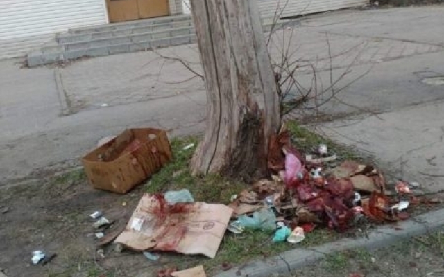 В Мелитополе обнаружили гниющие останки (ФОТО) Фото № 2 В Мелитополе обнаружили гниющие останки (ФОТО) Фото № 2