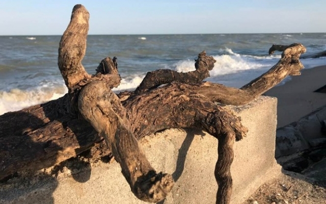 В Бердянске море поглощает и разрушает пляжи (ФОТО) Фото № 1 В Бердянске море поглощает и разрушает пляжи (ФОТО) Фото № 1