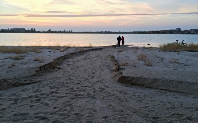 Под Запорожьем во время шторма погибли дельфины (ФОТО) Фото № 3 Под Запорожьем во время шторма погибли дельфины (ФОТО) Фото № 3