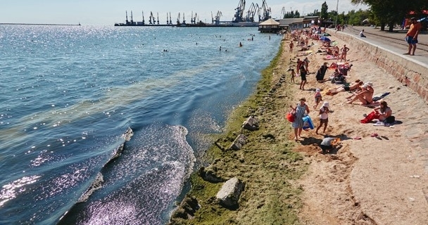 С пляжей запорожского курорта грузовиками вывозят водоросли (ФОТО) Фото № 2 С пляжей запорожского курорта грузовиками вывозят водоросли (ФОТО) Фото № 2