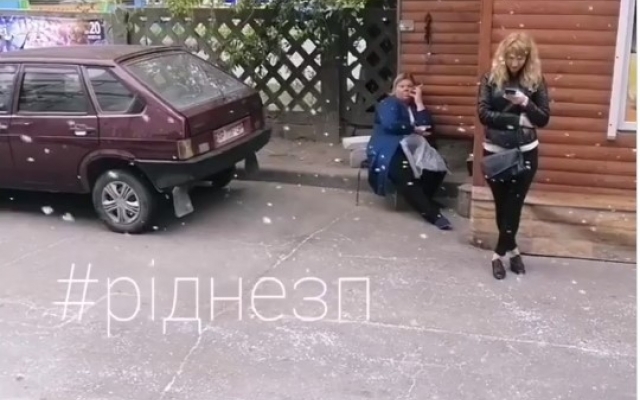 Курьезы: В Запорожье пошел Курьезы: В Запорожье пошел