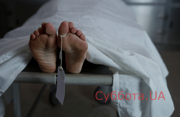 Под Запорожьем в квартире нашли сразу два трупа Фото № 0 Под Запорожьем в квартире нашли сразу два трупа Фото № 0