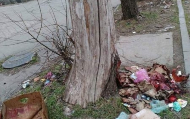 В Мелитополе обнаружили гниющие останки (ФОТО) Фото № 1 В Мелитополе обнаружили гниющие останки (ФОТО) Фото № 1