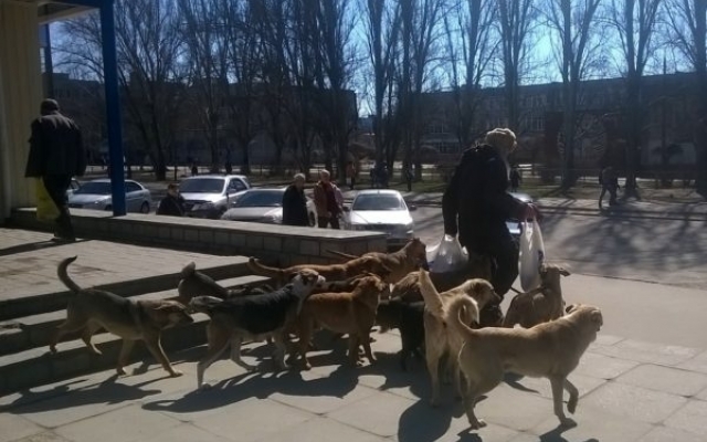 АТБ на Бородинском опасен Фото № 4 АТБ на Бородинском опасен Фото № 4