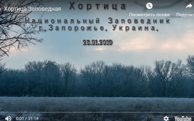 Запорожский натуралист показал великолепное видео заповедной зоны Фото № 0 Запорожский натуралист показал великолепное видео заповедной зоны Фото № 0