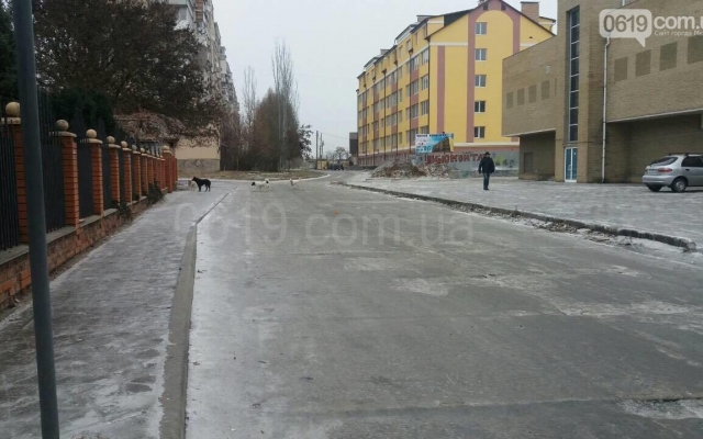 Возле торгового центра на мужчину напала стая бродячих псов (ФОТО) Фото № 0 Возле торгового центра на мужчину напала стая бродячих псов (ФОТО) Фото № 0