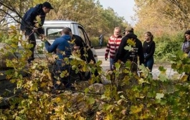 Как восстанавливали Аллею дубов на Хортице Фото № 0 Как восстанавливали Аллею дубов на Хортице Фото № 0