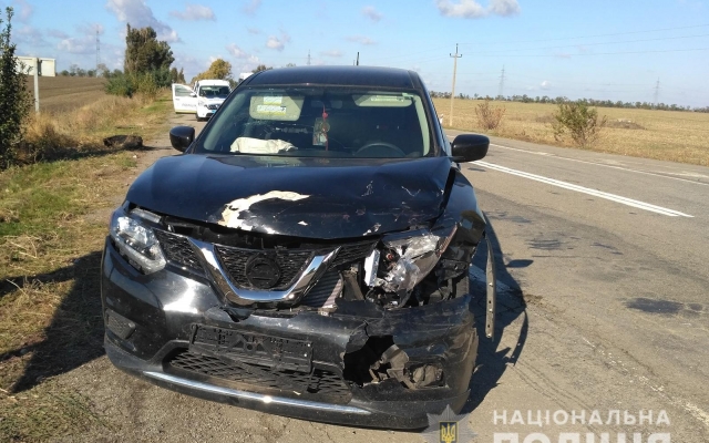 ДТП в Запорожской области: «Nissan Rogue» догнал «ЗАЗ-1102» (ФОТО) Фото № 0 ДТП в Запорожской области: «Nissan Rogue» догнал «ЗАЗ-1102» (ФОТО) Фото № 0