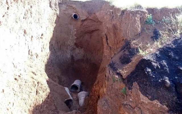 В Запорожской области появился В Запорожской области появился
