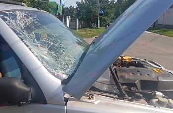 ДТП: Велосипедист будто нарочно ДТП: Велосипедист будто нарочно