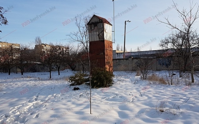 Запорожцы странно избавляются от новогодних елок (ФОТО) Фото № 0 Запорожцы странно избавляются от новогодних елок (ФОТО) Фото № 0
