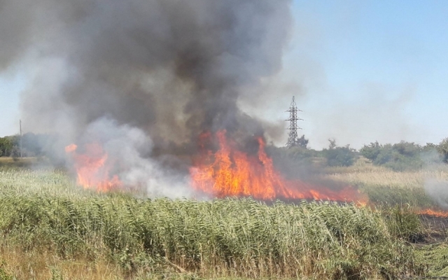 Жара и сухая погода: В Запорожье и области за сутки произошло 30 пожаров Фото № 2 Жара и сухая погода: В Запорожье и области за сутки произошло 30 пожаров Фото № 2