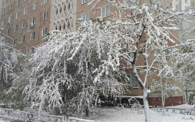 Запорожцы делятся уникальными кадрами стихии в городе Фото № 14 Запорожцы делятся уникальными кадрами стихии в городе Фото № 14