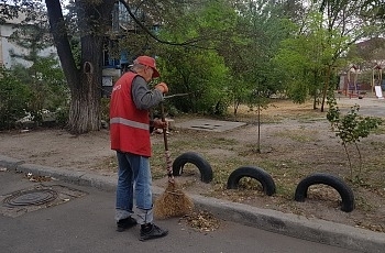 Во дворе многоэтажки нашли труп Фото № 0 Во дворе многоэтажки нашли труп Фото № 0