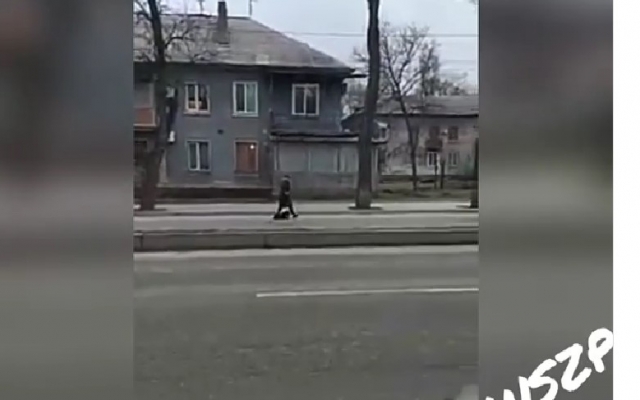 Курьезы: В Запорожье заметили женщину, выгуливающую игрушечного пса (ВИДЕО) Фото № 0 Курьезы: В Запорожье заметили женщину, выгуливающую игрушечного пса (ВИДЕО) Фото № 0