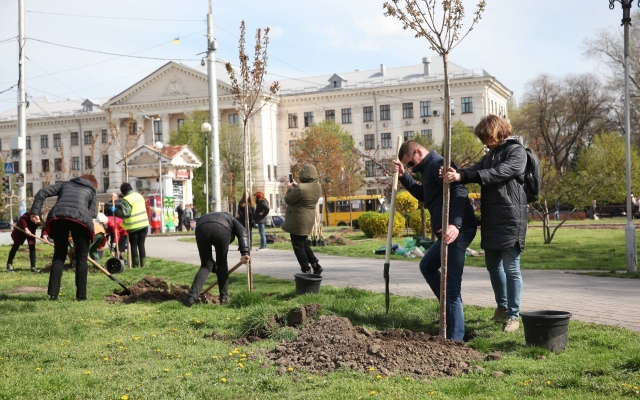В центре Запорожья высадили молодые сакуры (ФОТО) Фото № 3 В центре Запорожья высадили молодые сакуры (ФОТО) Фото № 3