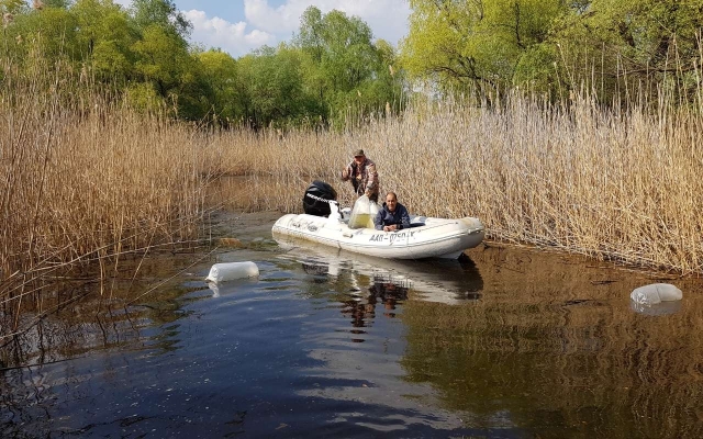 В водоёмы области выпустили 150 тысяч мальков щуки (ФОТО) Фото № 0 В водоёмы области выпустили 150 тысяч мальков щуки (ФОТО) Фото № 0