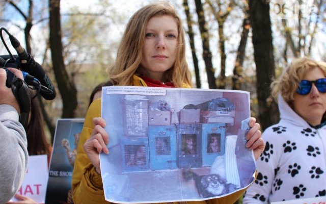 Сегодня в Запорожье прошел необычный митинг Фото № 8 Сегодня в Запорожье прошел необычный митинг Фото № 8