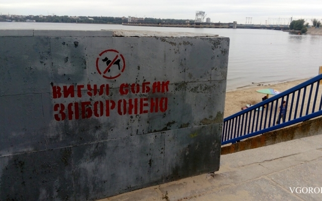 В Запорожье будет специальный пляж для собак? Фото № 0 В Запорожье будет специальный пляж для собак? Фото № 0