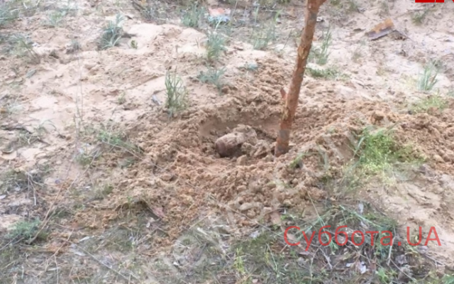 Около школы обнаружили жуткую находку (ФОТО) Фото № 2 Около школы обнаружили жуткую находку (ФОТО) Фото № 2