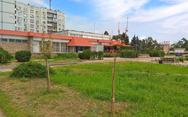 В Запорожской области засохли сакуры (ФОТОФАКТ) Фото № 0 В Запорожской области засохли сакуры (ФОТОФАКТ) Фото № 0