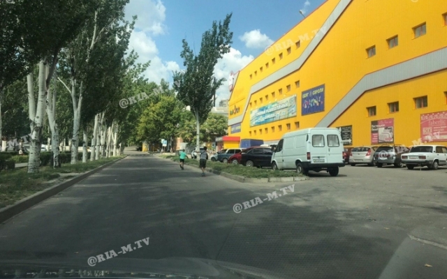 В Запорожской области дети играют, рискуя жизнью (ФОТО) Фото № 0 В Запорожской области дети играют, рискуя жизнью (ФОТО) Фото № 0