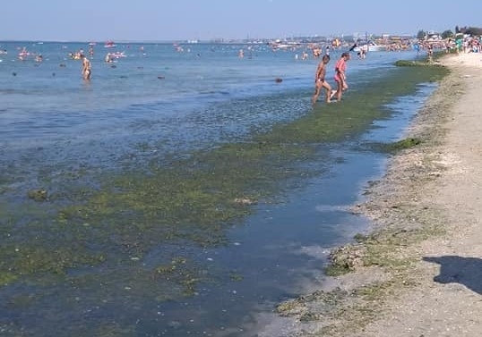 Картина на запорожском курорте шокировала отдыхающих (ФОТО) Фото № 2 Картина на запорожском курорте шокировала отдыхающих (ФОТО) Фото № 2