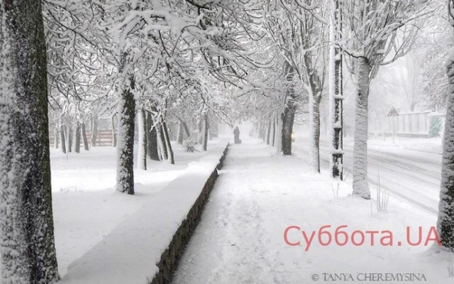 В сети показали завораживающие фото заснеженного курорта Фото № 6 В сети показали завораживающие фото заснеженного курорта Фото № 6