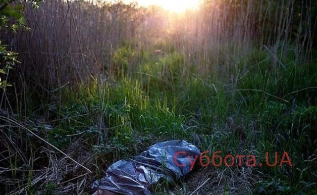 В лесополосе обнаружили труп женщины Фото № 0 В лесополосе обнаружили труп женщины Фото № 0