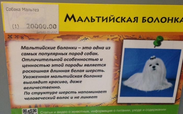 В В
