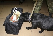В прифронтовой Мариуполь ввозят боеприпасы Фото № 1 В прифронтовой Мариуполь ввозят боеприпасы Фото № 1
