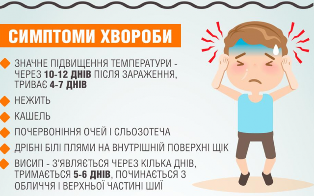 В Запорожье и области свирепствует опасная болезнь Фото № 0 В Запорожье и области свирепствует опасная болезнь Фото № 0